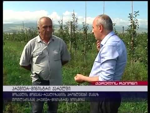 ქარელის რაიონი. 2012 წელი. მოსავლის მოყვანა რეალიზაციის პრობლემები