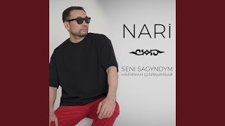 Seni sagyndym - Nari