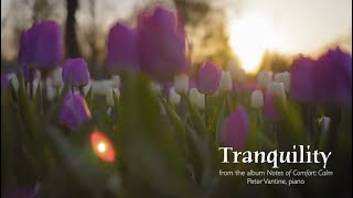 Tranquility | Notes of Comfort: CALM | Solo Piano Music by Peter Vantine
