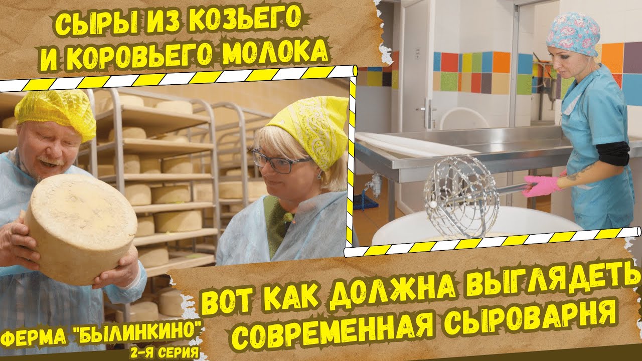 Где делают одни из вкуснейших сыров в России? Как созревают сыры ...