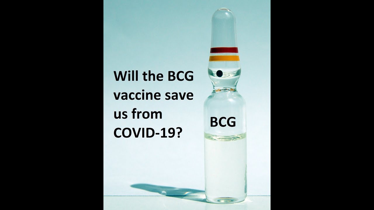 Will the BCG vaccine save us from Covid 19? - YouTube