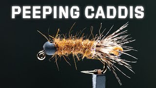 Peeping Caddis Nymph | Best Cased Caddis Imitation | Fly Tying Tutorial