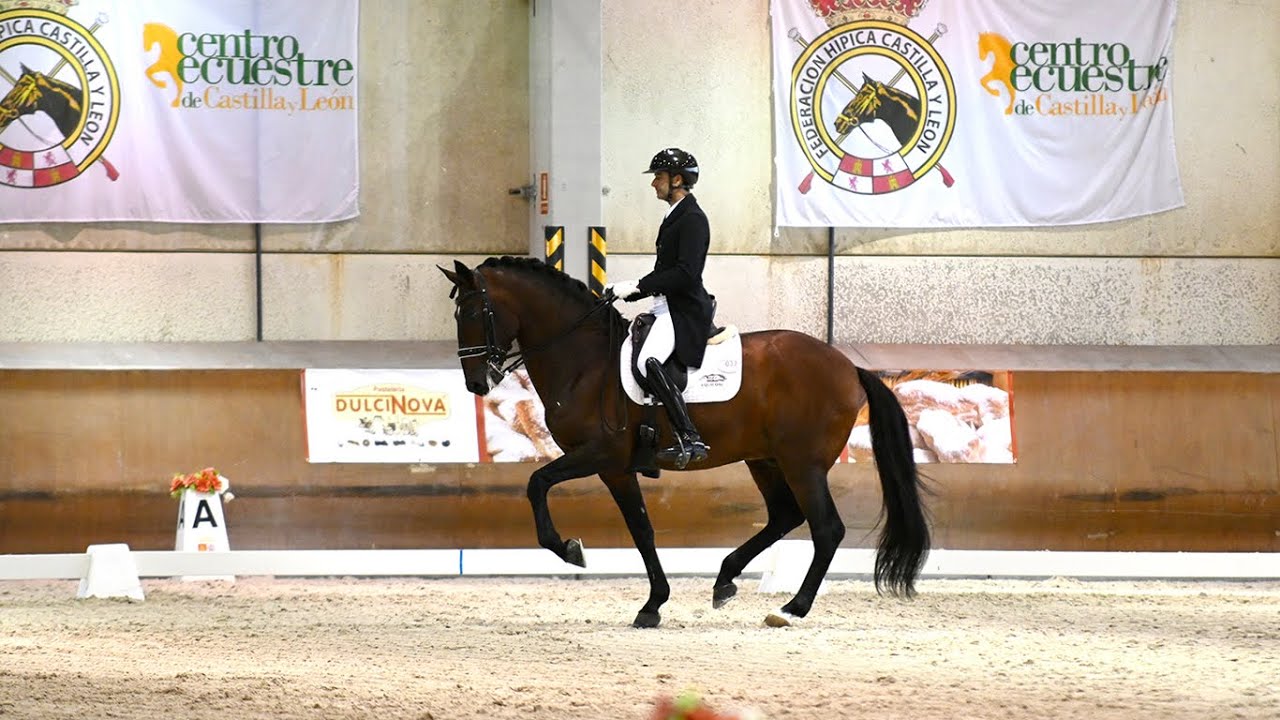 L'Espagne déjà amputée d'un de ses couples pour les Championnats d'Europe de Riesenbeck