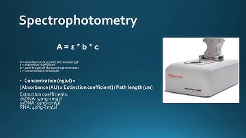 Nucleic Acid Quantification Methods
