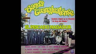 Banda La Guanajuatense &quot;Cancion mixteca&quot; (album completo)