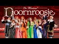 Hoe is de Musical Doornroosje in Plopsaland Belgium? Update mei 2026. :)