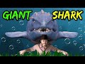 We're Going on a Giant Shark Adventure | Bear Hunt | Nursery Rhymes | Videos for children