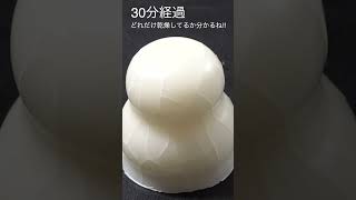 鏡餅放置=≡Σ((( つ•̀ω•́)つ　 #Shorts  PDS