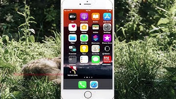 iPhone 7 : How to add or remove touch gesture open voiceover settings Voice Over command
