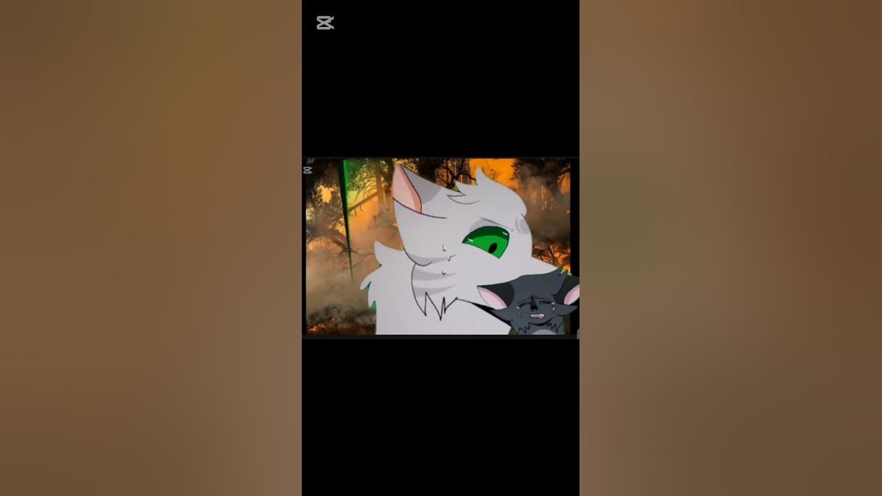 They dont deserve you... #oc #oclore #sad #music #fypviralシ #warriorcats #song #foryou #edit #lore