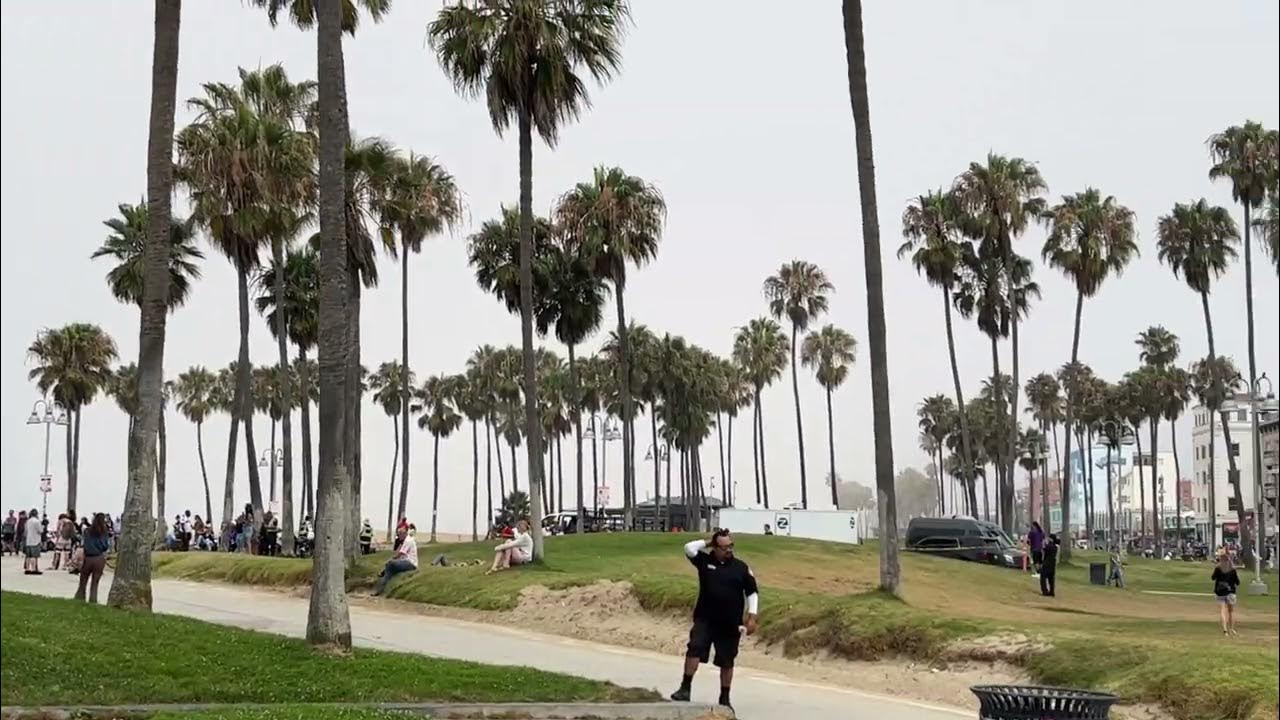 A Day in LA Tours Venice Beach 1/4 California YouTube