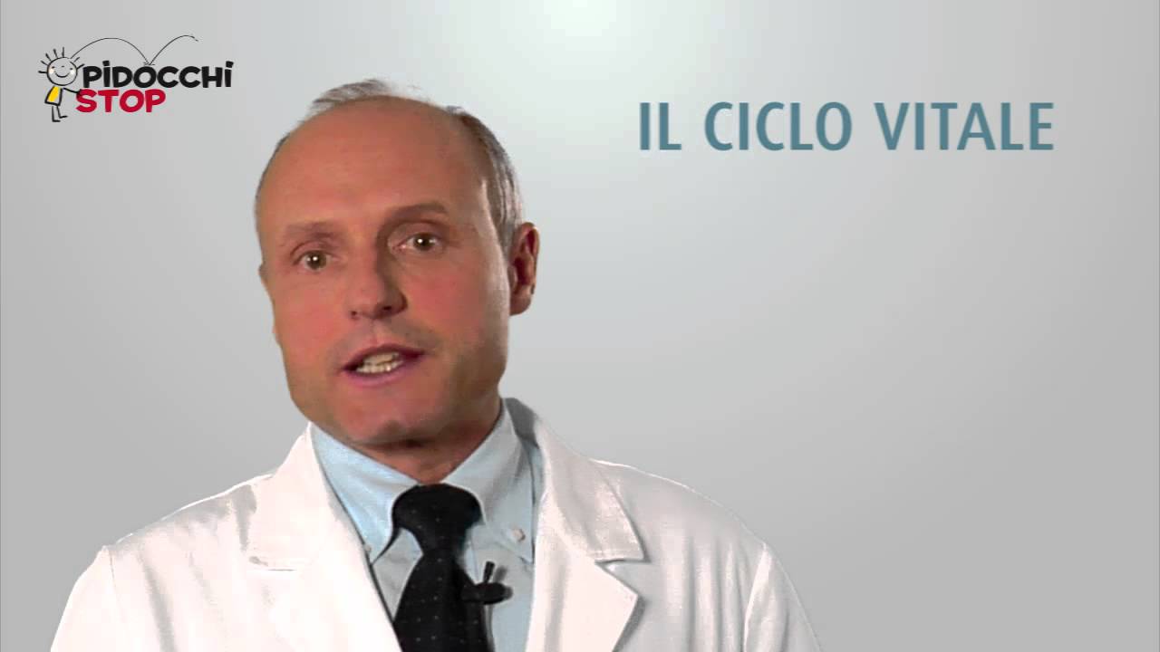 I pidocchi: del capo, del corpo e del pube (piattole)