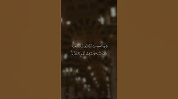الجزء الأخير من #سورة_التوبة | الشيخ/ د. #عبدالله_القرافي | #القرآن_الكريم #اكسبلور #القرآن #ترند