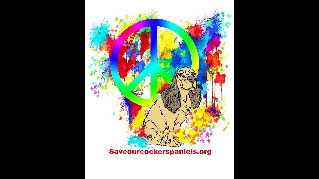 socks dreams do come true YouTube