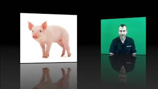 Unit 10 farm animals