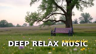 Savanna Sunset Golden Peace, Deep Rest, Mindful Relaxation