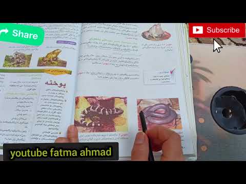 زیندەوەر پۆل ٨ ل٩٠ 