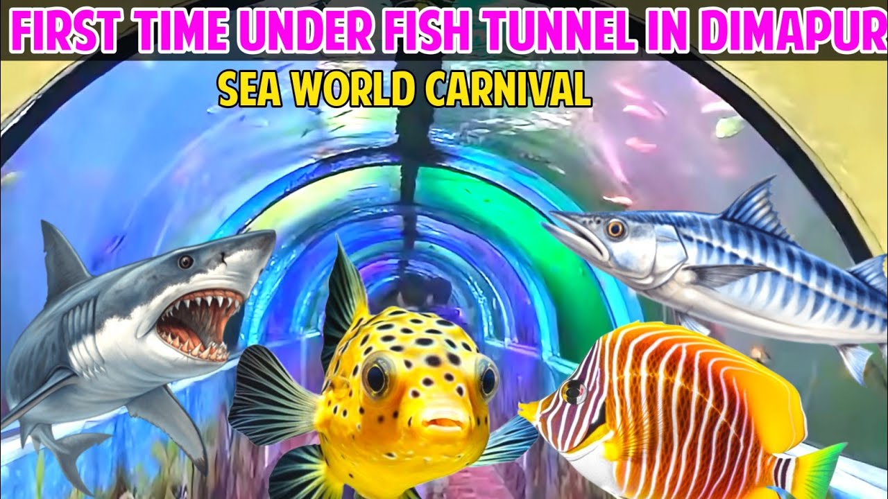 Sea World Carnival 🐟First Time Under Fish Tunnel In Dimapur 🏟️