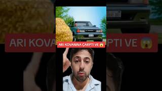 Ari Kovanina Çarpti Ve