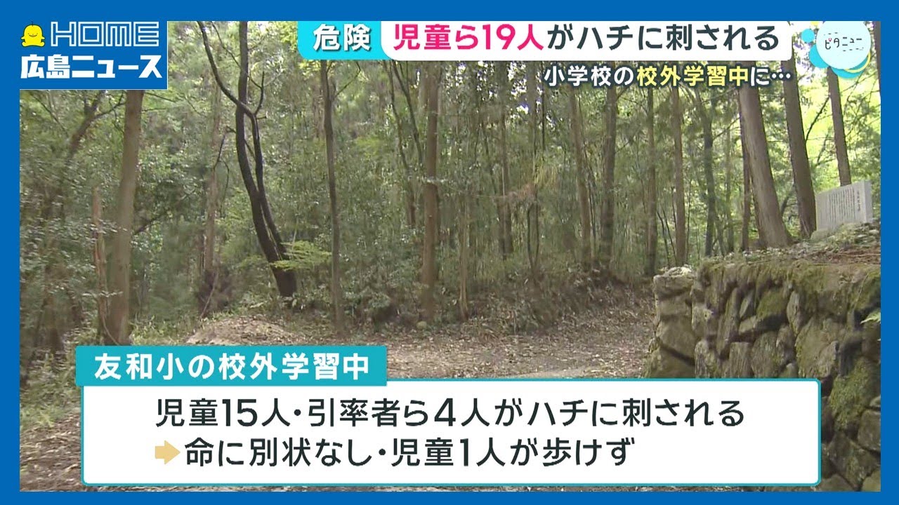 ハチ】児童ら19人刺され搬送 校外学習で登山中｜HOME広島ニュース