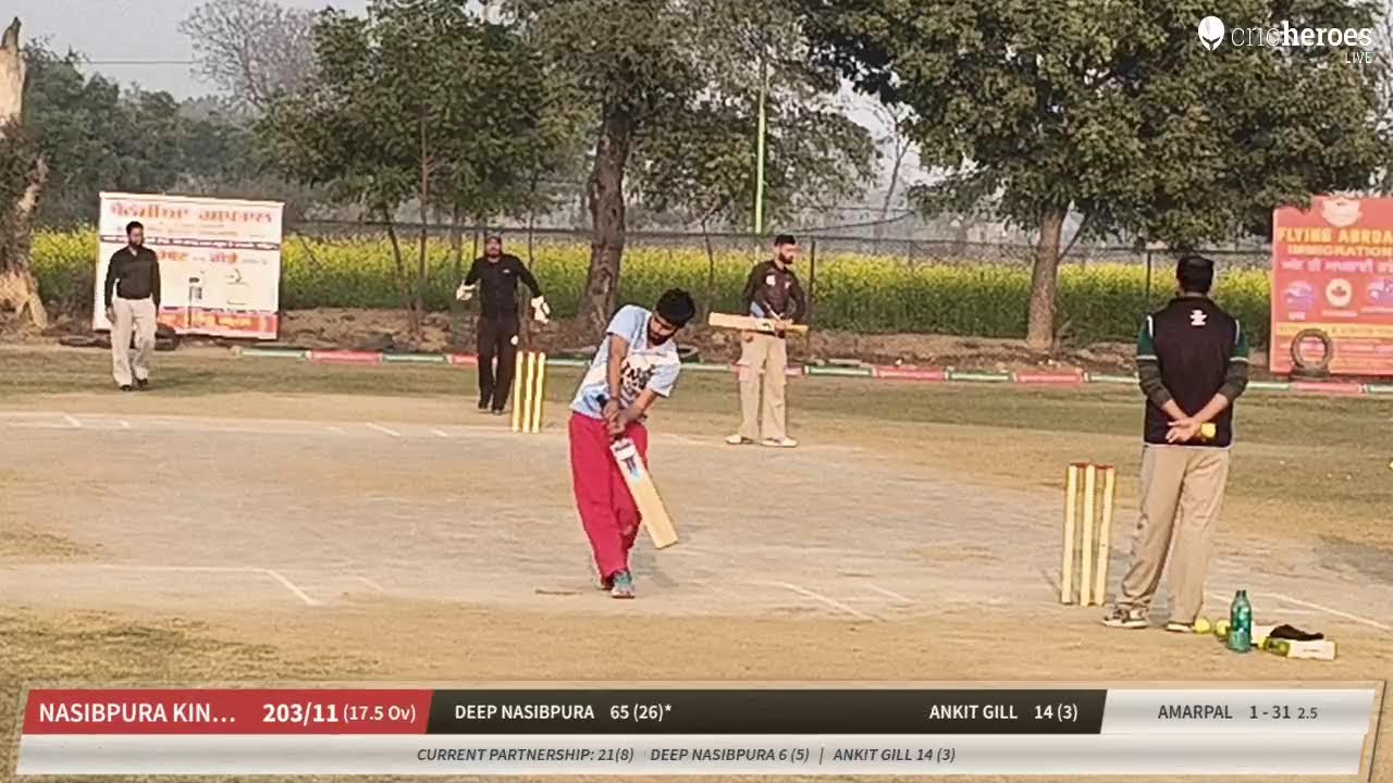 Nasibpura Kings vs Bathinda Strikers live cricket match | Fashion Shopee Cup live - Dream Riders Sp
