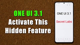 Activate Hidden Feature on Samsung Galaxy Phones with ONE UI 3.1 - (S21, Note 20, S20, Note 10, etc) screenshot 5