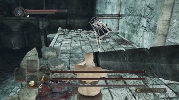 Dark Souls 2 Ruins Sentinels pure strength build