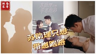 苏助理的隐秘爱情：错位人生的旅程