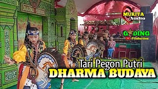 Jaranan Pegon Putri DHARMA BUDAYA Live Kradinan, Pagerwojo
