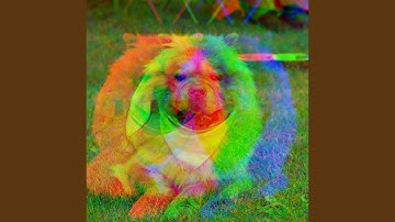 Pulsating Music for Amusing Doggy Time