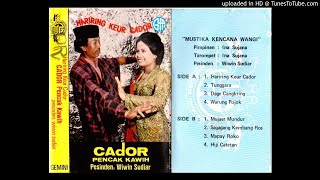 Wiwin Sudiar  Tukang Patri cador Pencak Kawih
