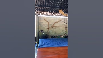 Định cư sang nước ngoài ! A Hoàng cần bán nhà vườn ở bà rịa vũng tàu ,gần biển#shorts