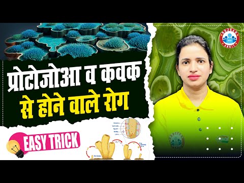Protozoa & Fungal Diseases | Biology For Competitive Exams | Science By Bhawna Mam