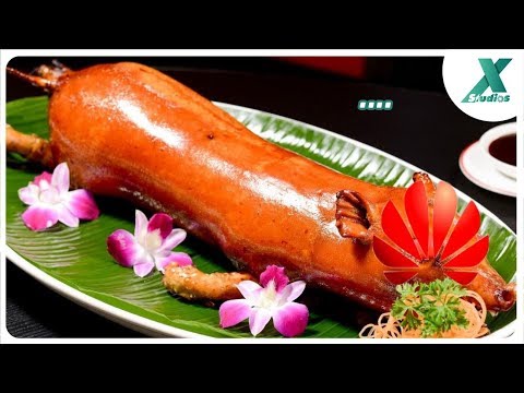 Video Heo Quay đi đời rồi ông giáo ạ... - youtube