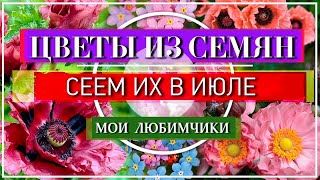 🌹О, ДА❗ Эти Цветы Сажаем и Сеем в ИЮЛЕ🌹💕👍