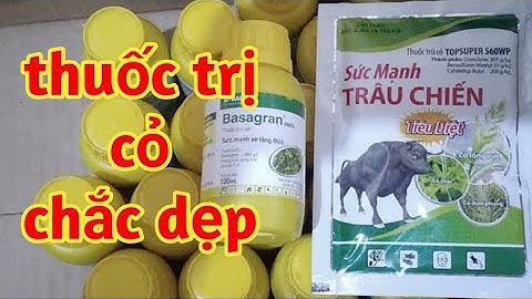 Basagran Trừ Cỏ Chác Dẹp Cỏ Lông Lợn Lông Vịt Cỏ Trứng Ếch_Hoàng Dương