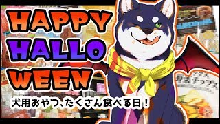【6回目おさんぽ！】ハッピーハロウィン！犬用おやつを、たくさん食べる！