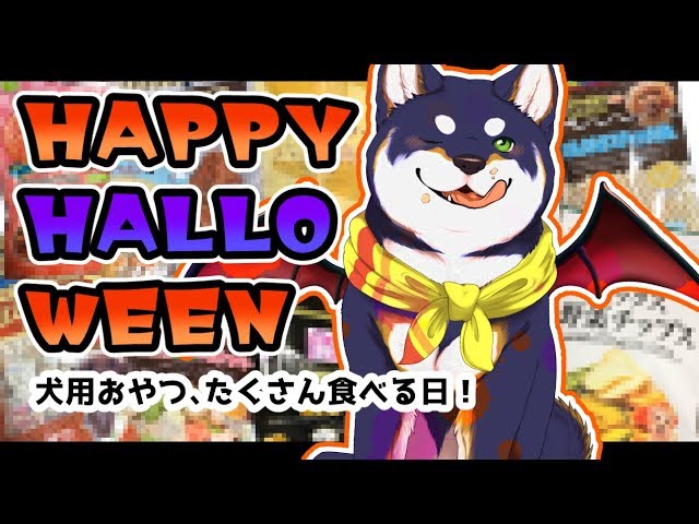 【6回目おさんぽ！】ハッピーハロウィン！犬用おやつを、たくさん食べる！のサムネイル