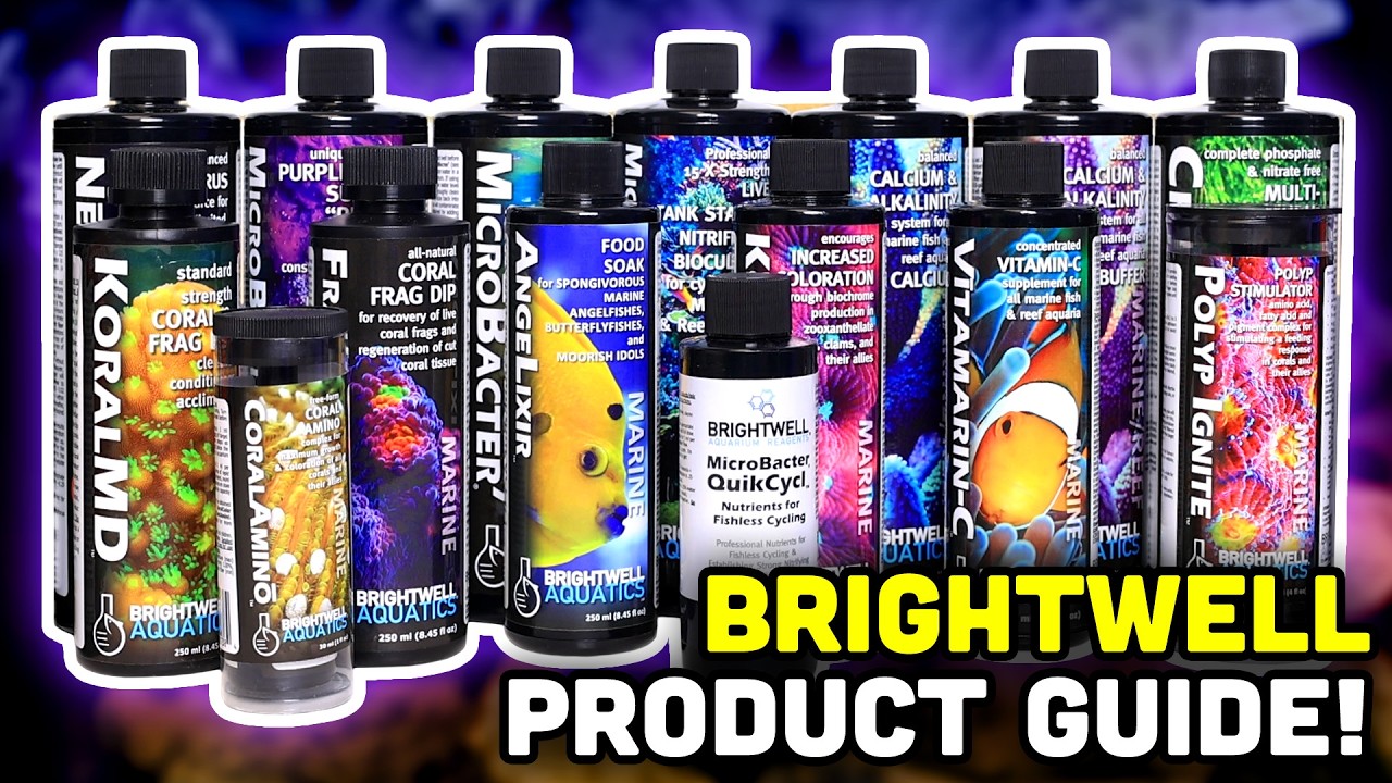Learning ALL ABOUT Brightwell Aquatics Products with Remy!
