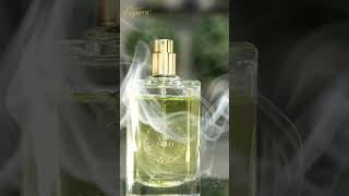 Oud Gold The Golden Aura of Luxury | Cepora #fragrancelovers #perfume #ceporaperfume #discovercepora