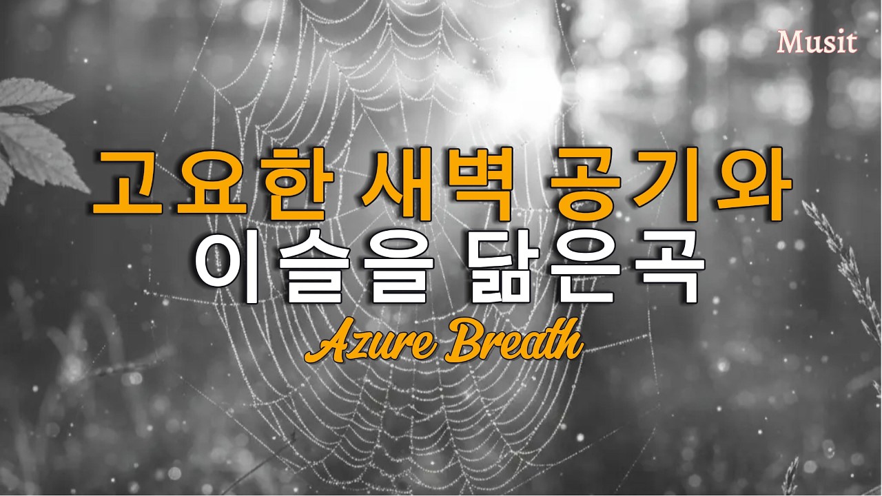 새벽의 고요함을 닮은 투명한 목소리 - 푸른 숨결 (Azure Breath)  새벽 감성 Chillwave l Musit