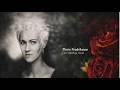 Marie Fredriksson - Den Ständiga Resan (Album Completo)