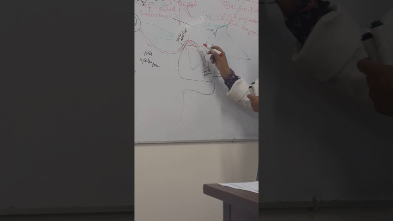 Pares Craneales - V par - Trigemino (Parte 3) camera iphone 8 plus apk