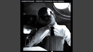Perfect (Thomas Gold Remix)