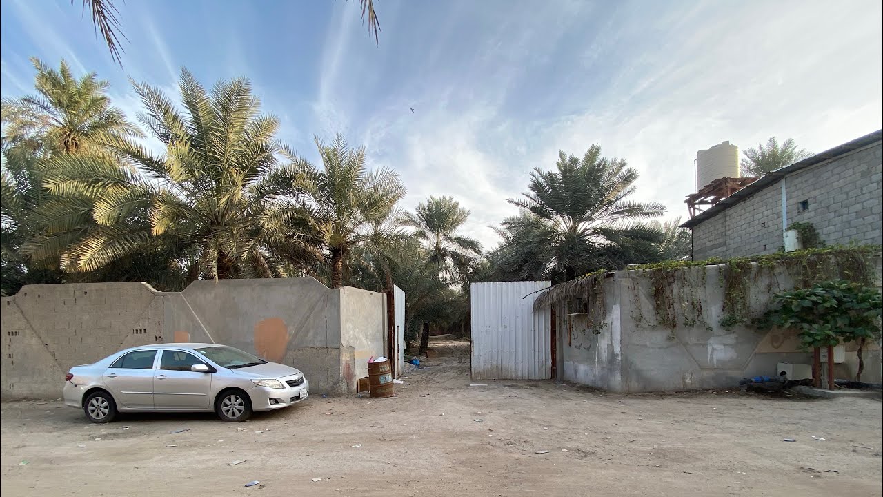 للبيع مزرعة البطالية 3874م مناسبة للسكن