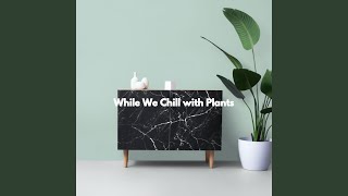 Magical Backdrops for Peaceful Codas