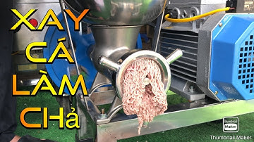 Máy xay cá và cách sử dụng máy xay chả cá và xay nhuyễn cá làm chả cá,Vietnamese fish cakes grinder