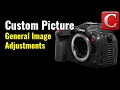 General Custom Picture Image Adjustments - EOS R5C Tip 46