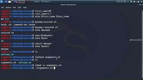 Bash Scripting Arguments on kali linux