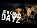 Зимний Мод с подписчиками! - DayZ